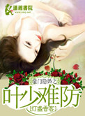 《豪门隐婚之叶少难防》