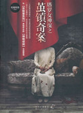 塔罗女神探小说