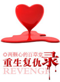 《重生复仇录》