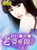《宠妻一加一：老婆难做》