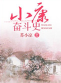 《小康奋斗史》