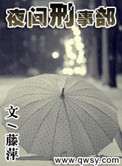 《夜间刑事部》