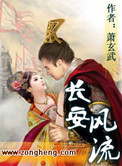 《长安风流》小说