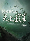 《斗破苍穹之无上巅峰》