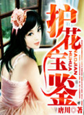 《护花宝鉴》