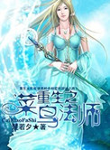 《重生之菜鸟法师》