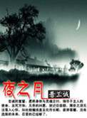 夜之月小说