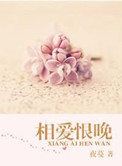 相爱恨晚小说