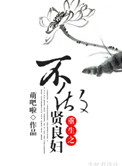 《重生不做贤良妇》