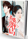 《老婆，诱你入局（作者：紫韵叶）》
