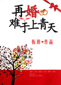《再婚难于上青天》