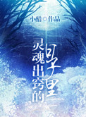 《灵魂出窍的日子》