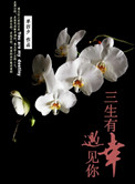 《三生有幸，遇见你》