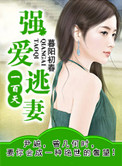 《强爱逃妻一百天（复仇）》