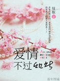 《爱情，不过如此》