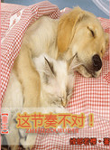 《[重生]这节奏不对！》