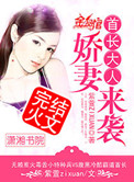 首长大人，娇妻来袭小说