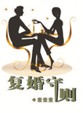 《复婚守则》小说
