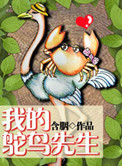 《我的鸵鸟先生》