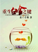 《重生白金之键》