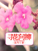 《何寻，何寻》