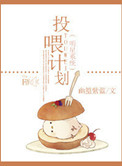 《明星系统投喂计划》