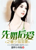 《先婚后爱之睿少溺宠妻》