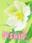 《温柔的你》