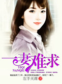 《一妻难求（作者：左手天涯）》