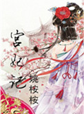《宫妃记》小说