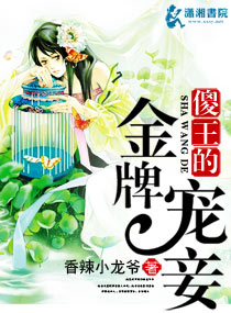 《傻王的金牌宠妾》小说