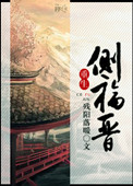 《重生侧福晋》