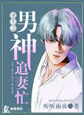 《重生之男神追妻忙》小说