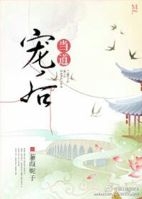 《宠后当道》