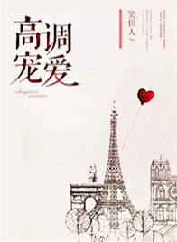 《高调宠爱》小说
