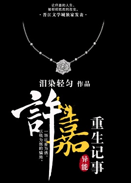 《许嘉重生记事》