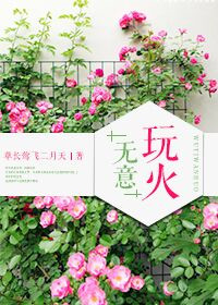 《无意玩火》