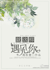 《就这样遇见你》