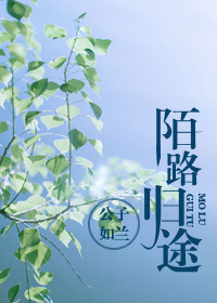 陌路归途图片