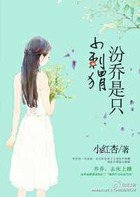 《汾乔是只小刺猬》