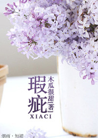 《瑕疵》