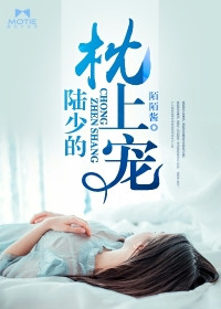 《陆少的枕上宠》