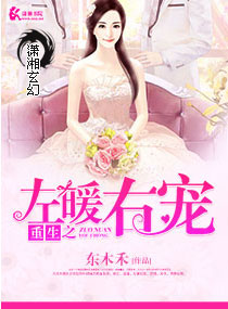 《重生之左暖右爱》
