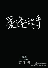 《爱逢敌手》