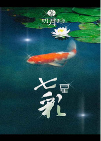 《七星彩》