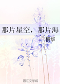 《那片星空，那片海（网络版）》