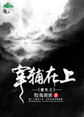 《重生之宰辅在上》