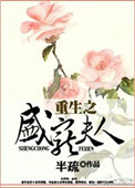 《重生之盛宠夫人》