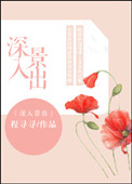 《深入景出》