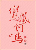 《鸾凤何鸣》